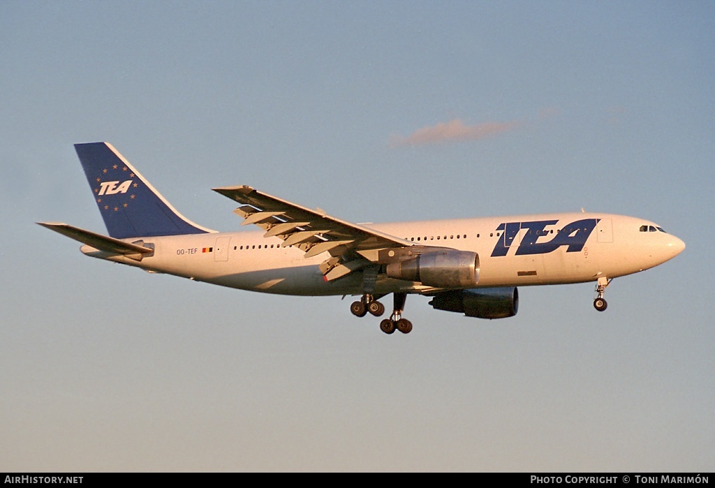 Aircraft Photo of OO-TEF | Airbus A300B1 | TEA - Trans European Airways | AirHistory.net #73556