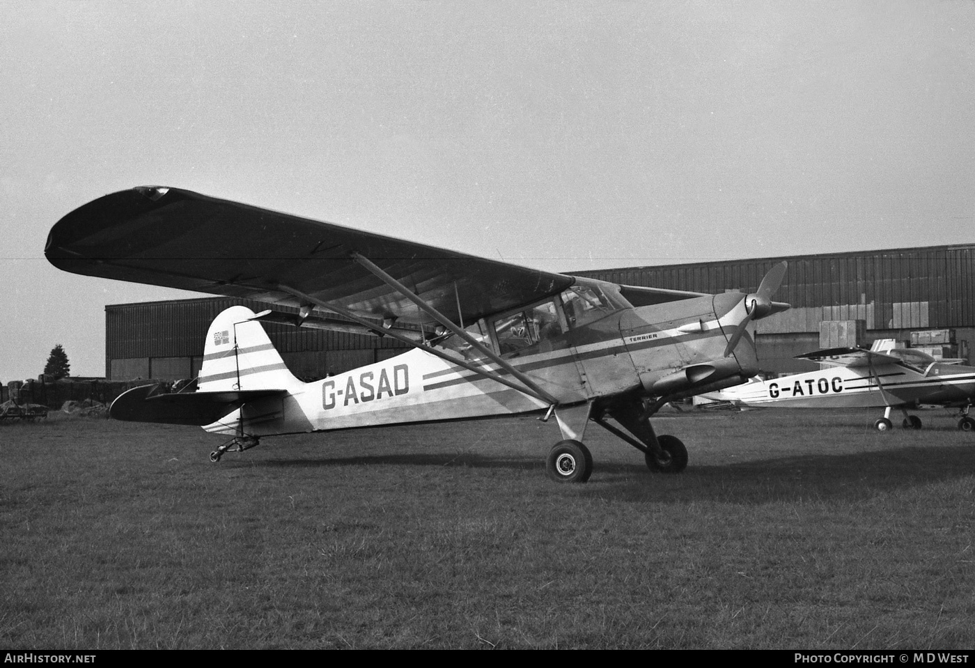 Aircraft Photo of G-ASAD | Beagle A-61 Terrier 2 | AirHistory.net #74603