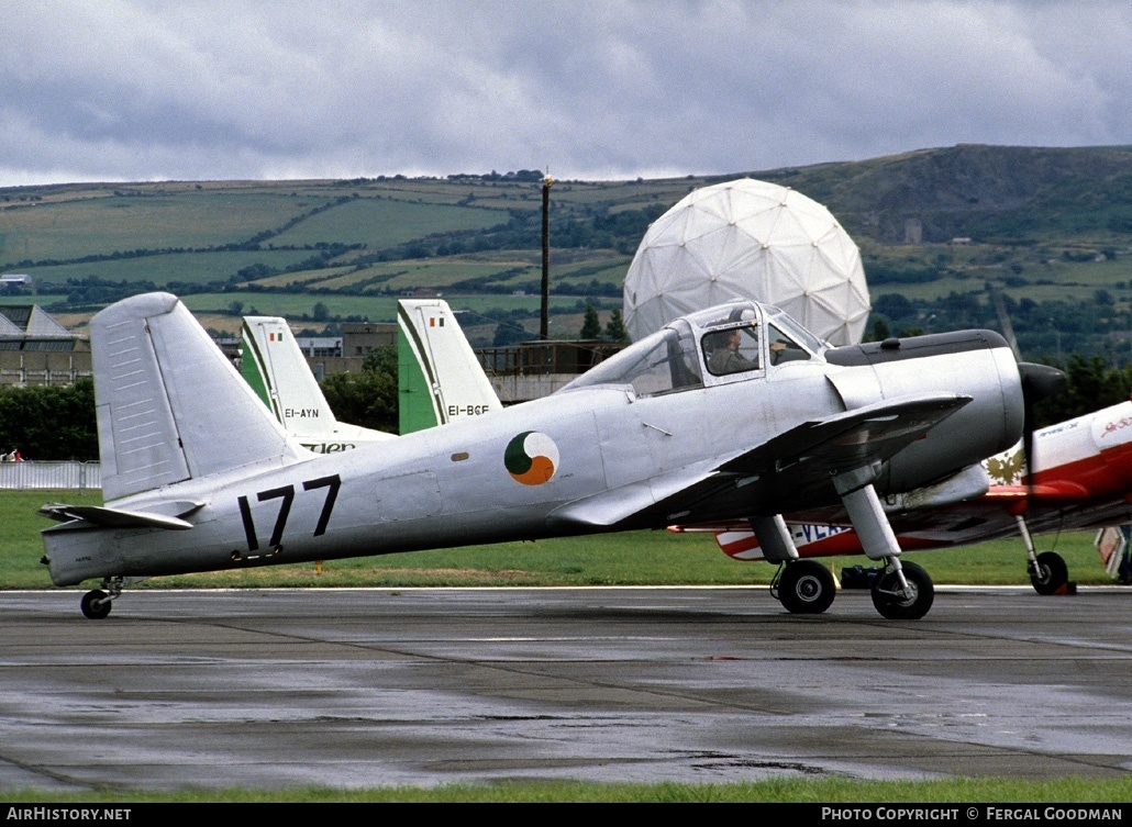 Aircraft Photo of G-BLIW / 177 | Percival P.56 Provost T51 | Ireland - Air Force | AirHistory.net #76126