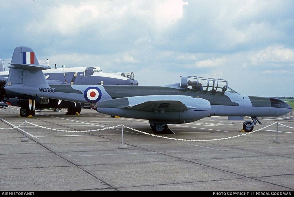Aircraft Photo of WD686 | Gloster Meteor NF11 | UK - Air Force | AirHistory.net #78175