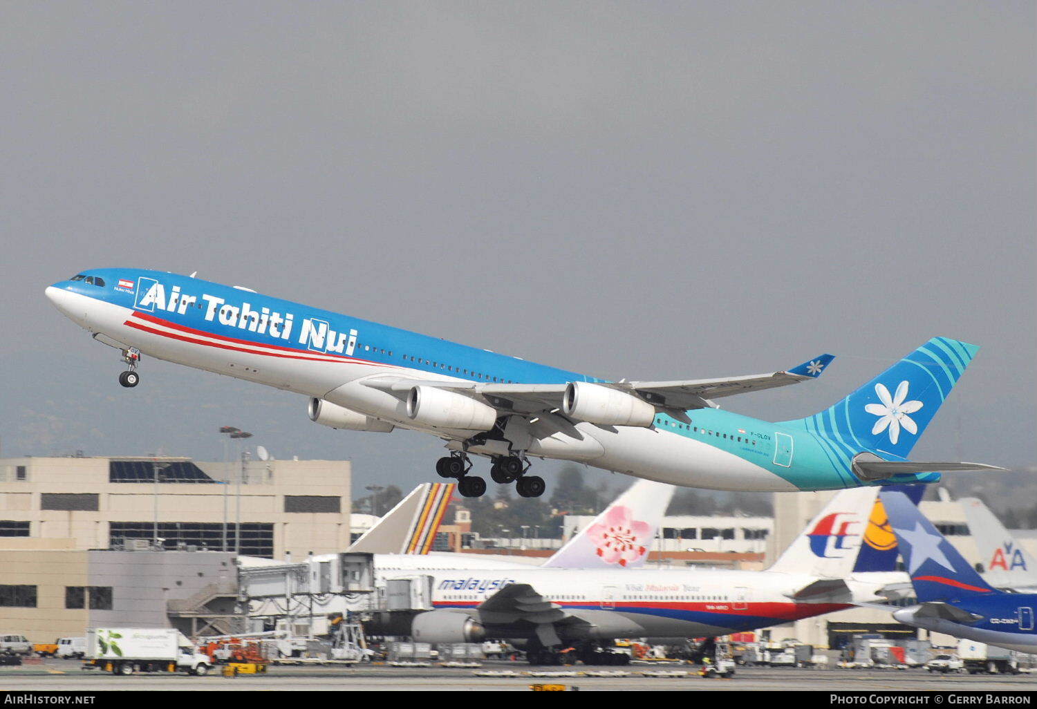 Aircraft Photo of F-OLOV | Airbus A340-313 | Air Tahiti Nui | AirHistory.net #82675