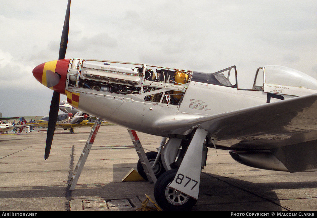 Aircraft Photo of N167F | North American P-51D Mustang | AirHistory.net #85815