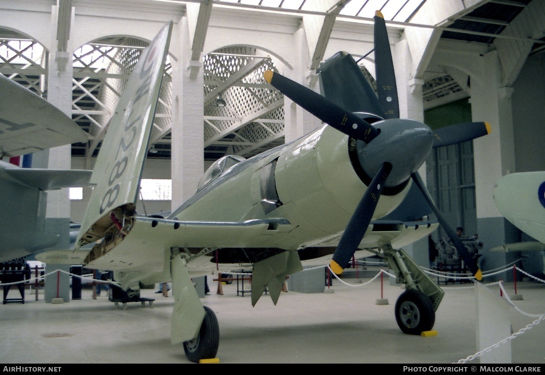 Aircraft Photo of G-SALY / WJ288 | Hawker Sea Fury FB11 | UK - Navy | AirHistory.net #86677