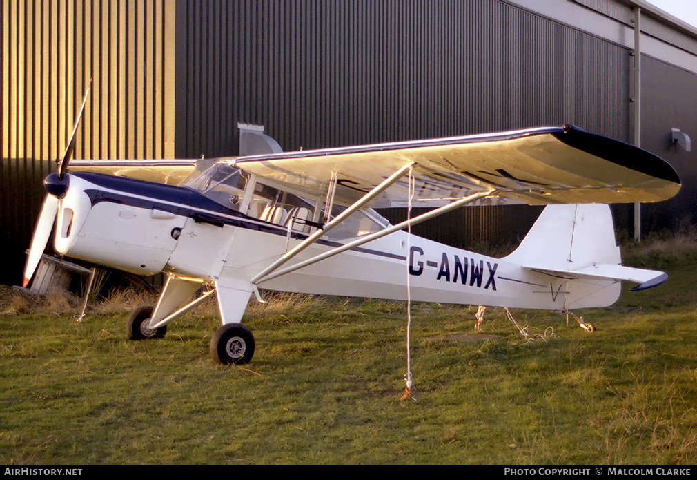 Aircraft Photo of G-ANWX | Auster J-5L Aiglet Trainer | AirHistory.net #88885