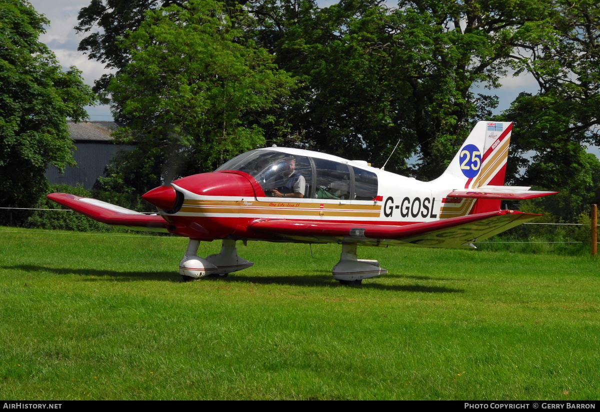 Aircraft Photo of G-GOSL | Robin DR-400-180 Regent | AirHistory.net #89399