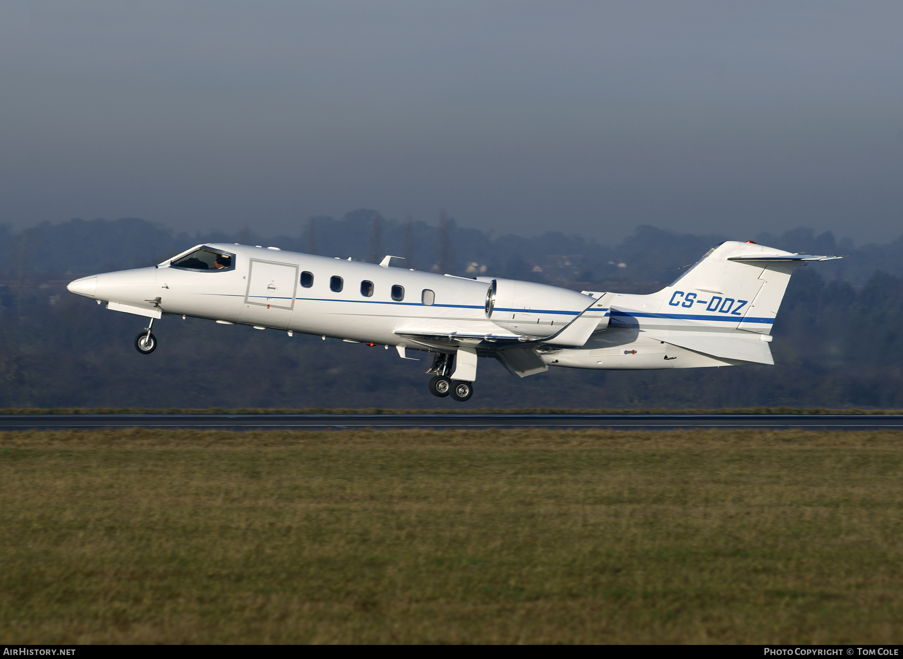 Aircraft Photo of CS-DDZ | Learjet 31 | AirHistory.net #89819