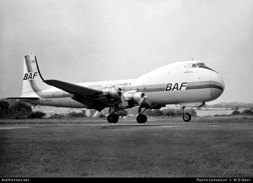Aircraft Photo of G-ASHZ | Aviation Traders ATL-98 Carvair | British Air Ferries - BAF | AirHistory.net #93119