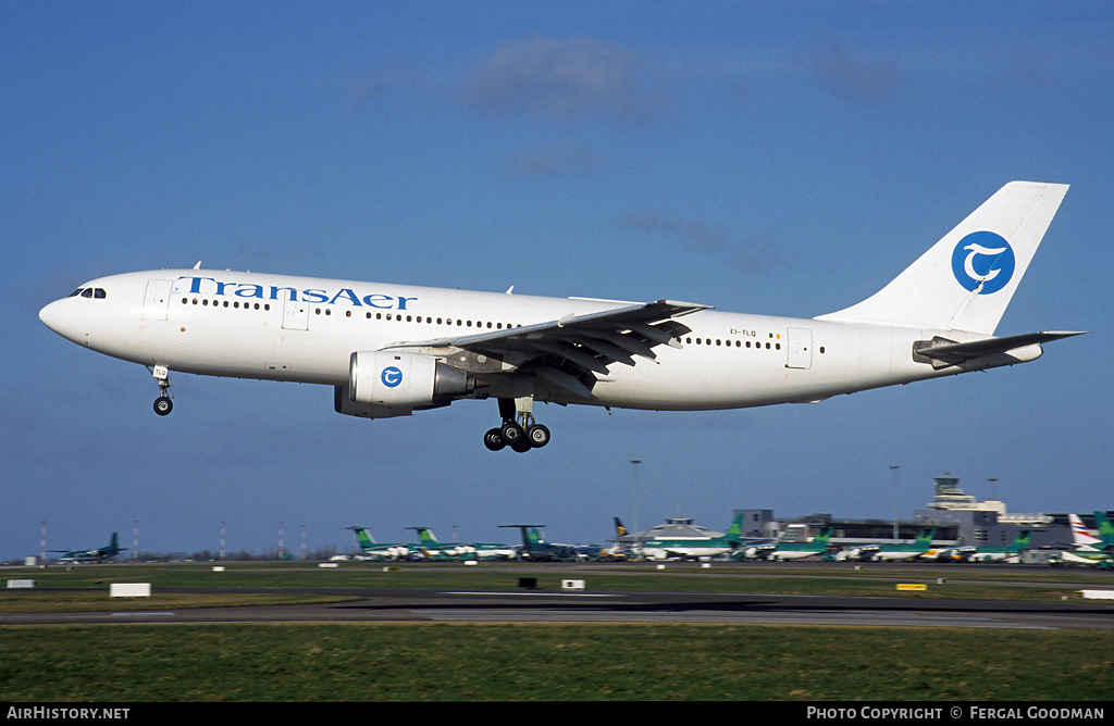 Aircraft Photo of EI-TLQ | Airbus A300B4-203 | TransAer International Airlines | AirHistory.net #93864