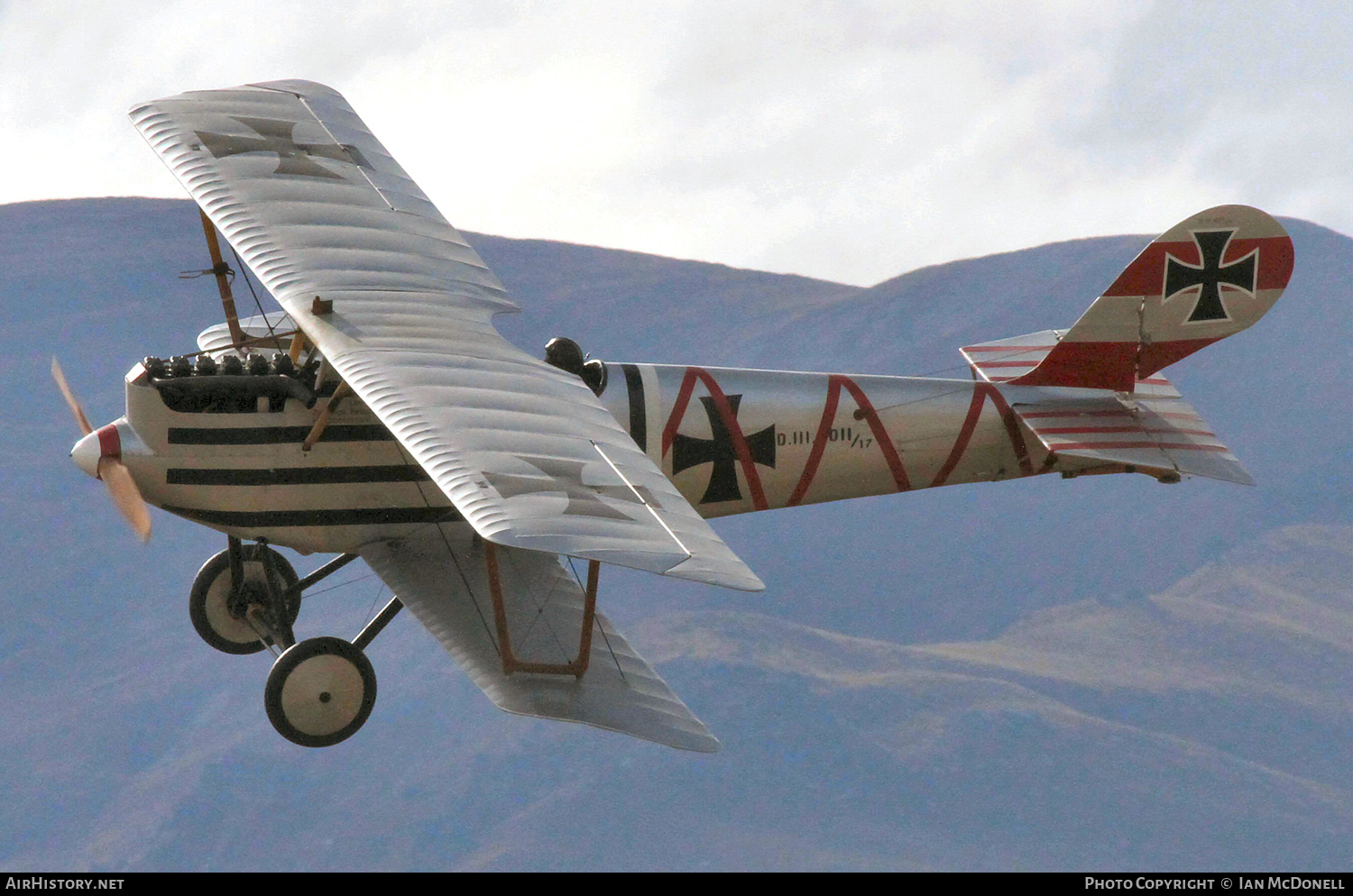 Aircraft Photo of ZK-FLZ / D.11/17 | PPS Pfalz DIII (Replica) | Germany - Air Force | AirHistory.net #96224