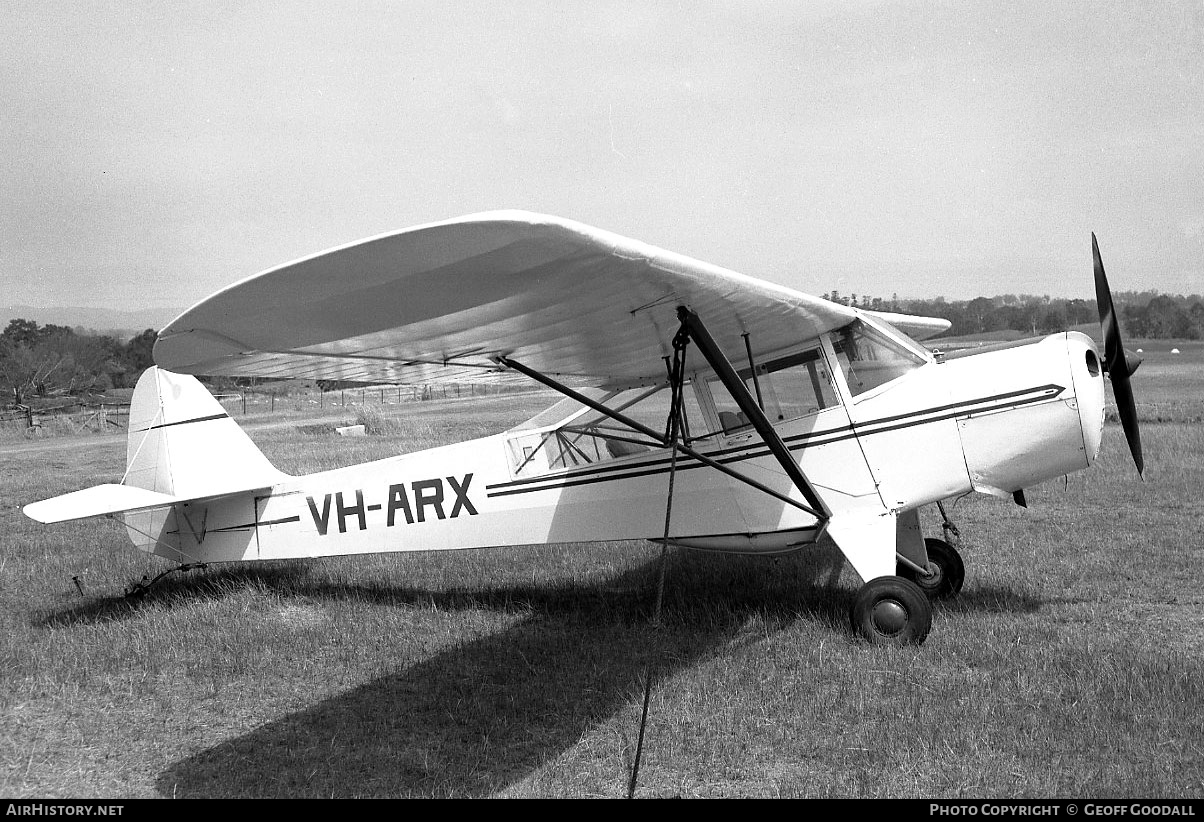 Aircraft Photo of VH-ARX | Taylorcraft J Auster Mk5 | AirHistory.net #96819