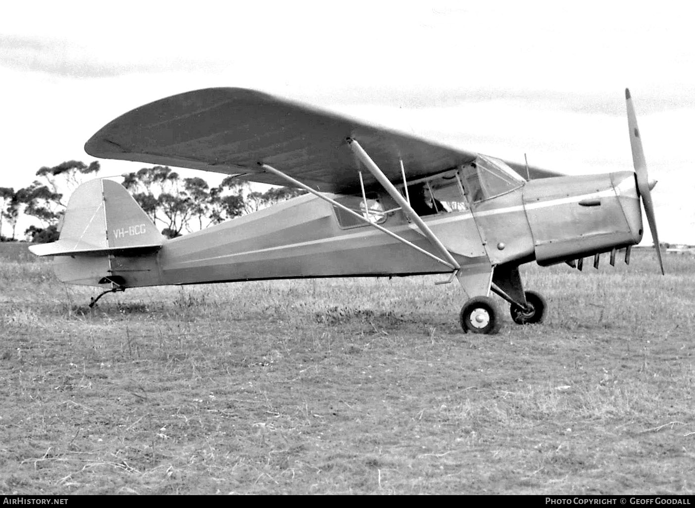 Aircraft Photo of VH-BCG | Taylorcraft E Auster Mk3 | AirHistory.net #97402
