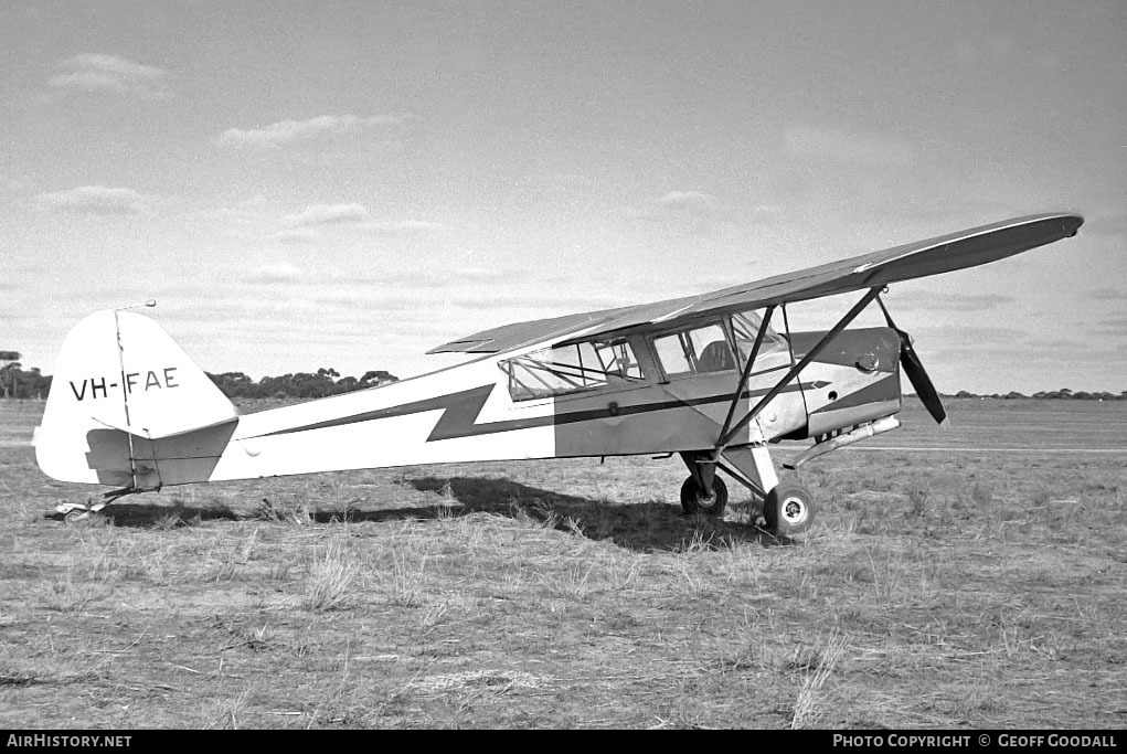 Aircraft Photo of VH-FAE | Taylorcraft E Auster Mk3 | AirHistory.net #98787