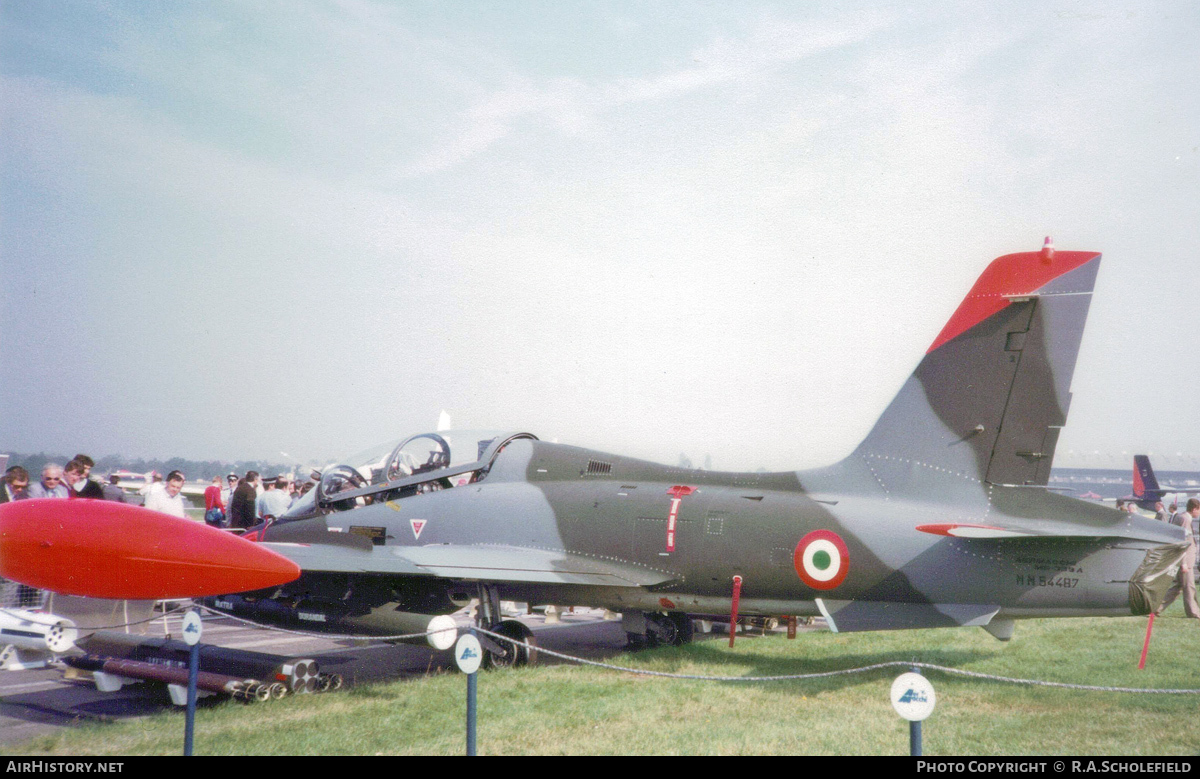 Aircraft Photo of MM54487 | Aermacchi MB-339PAN | Italy - Air Force | AirHistory.net #99414