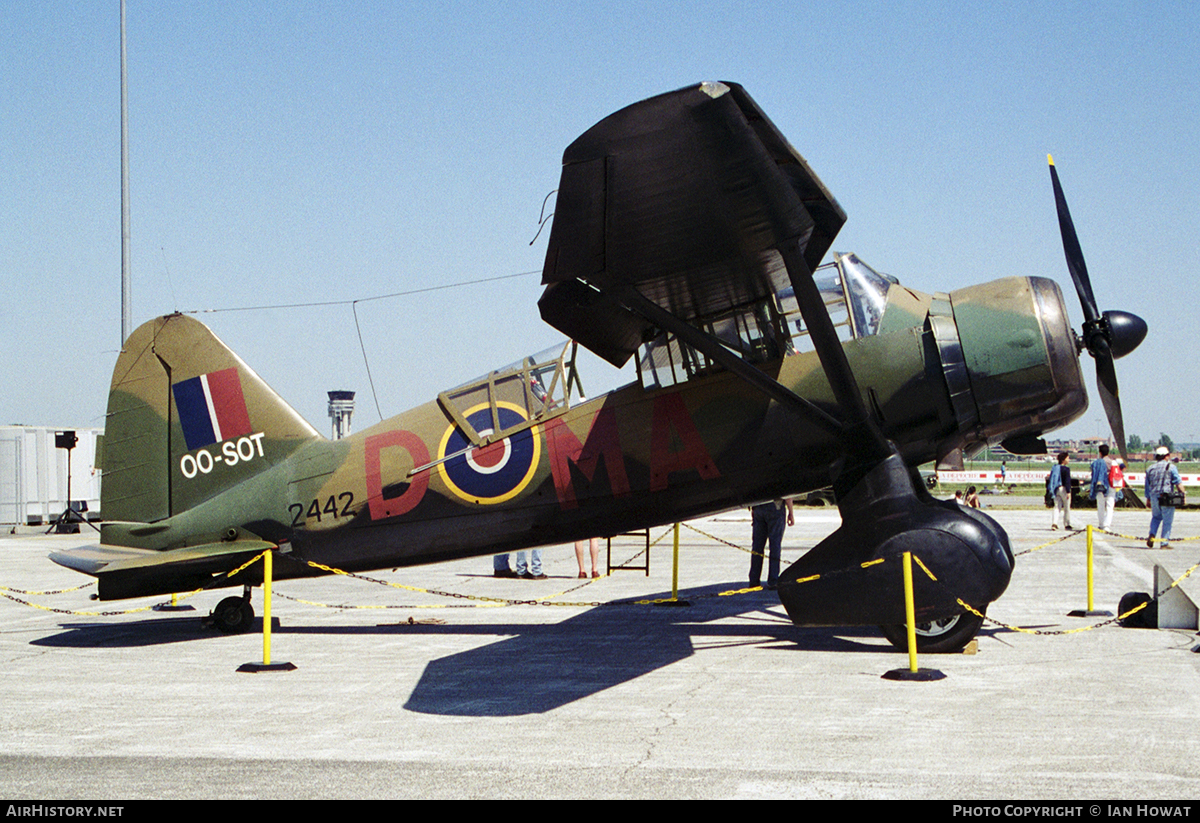 Aircraft Photo of OO-SOT / 2442 | Westland Lysander Mk3A | Canada - Air Force | AirHistory.net #100637