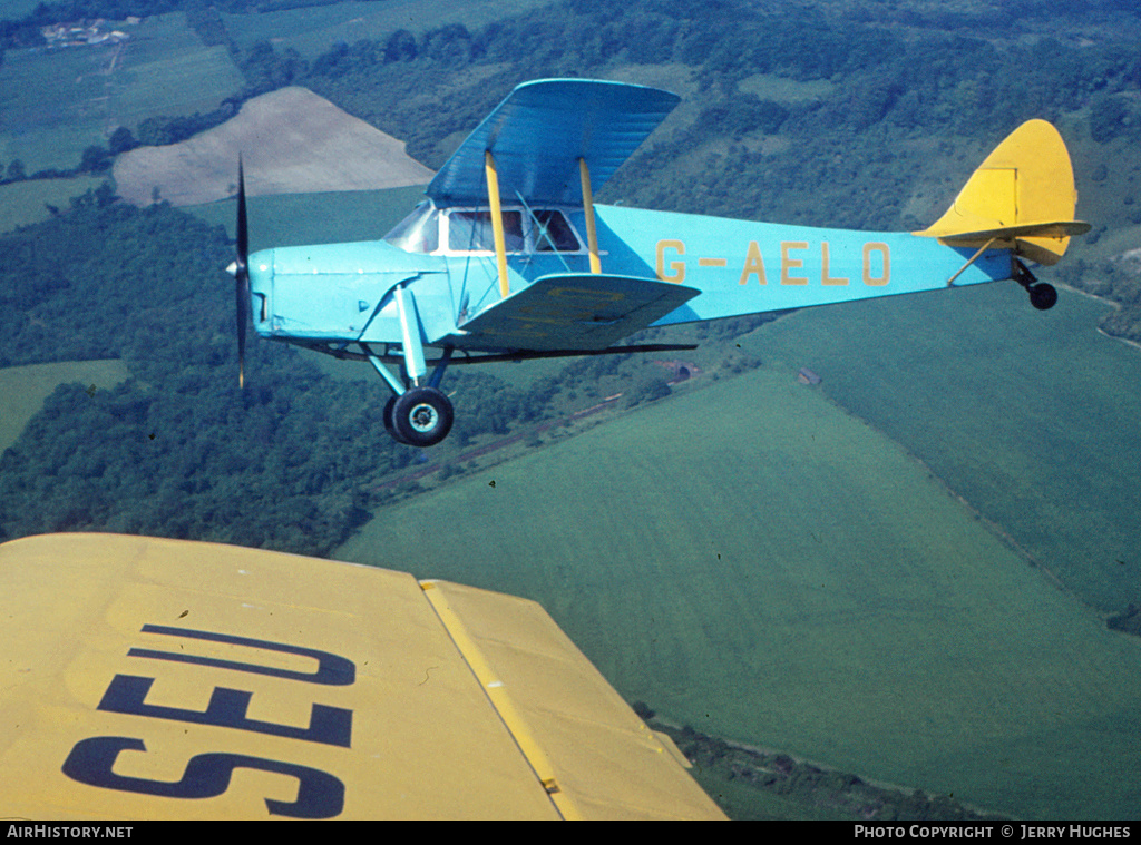 Aircraft Photo of G-AELO | De Havilland D.H. 87B Hornet Moth | AirHistory.net #101733
