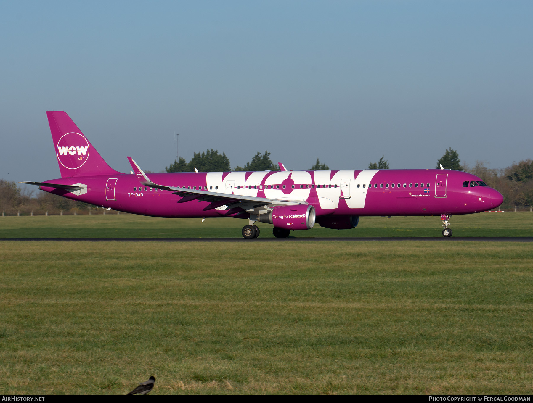 Aircraft Photo of TF-DAD | Airbus A321-211 | WOW Air | AirHistory.net #103669