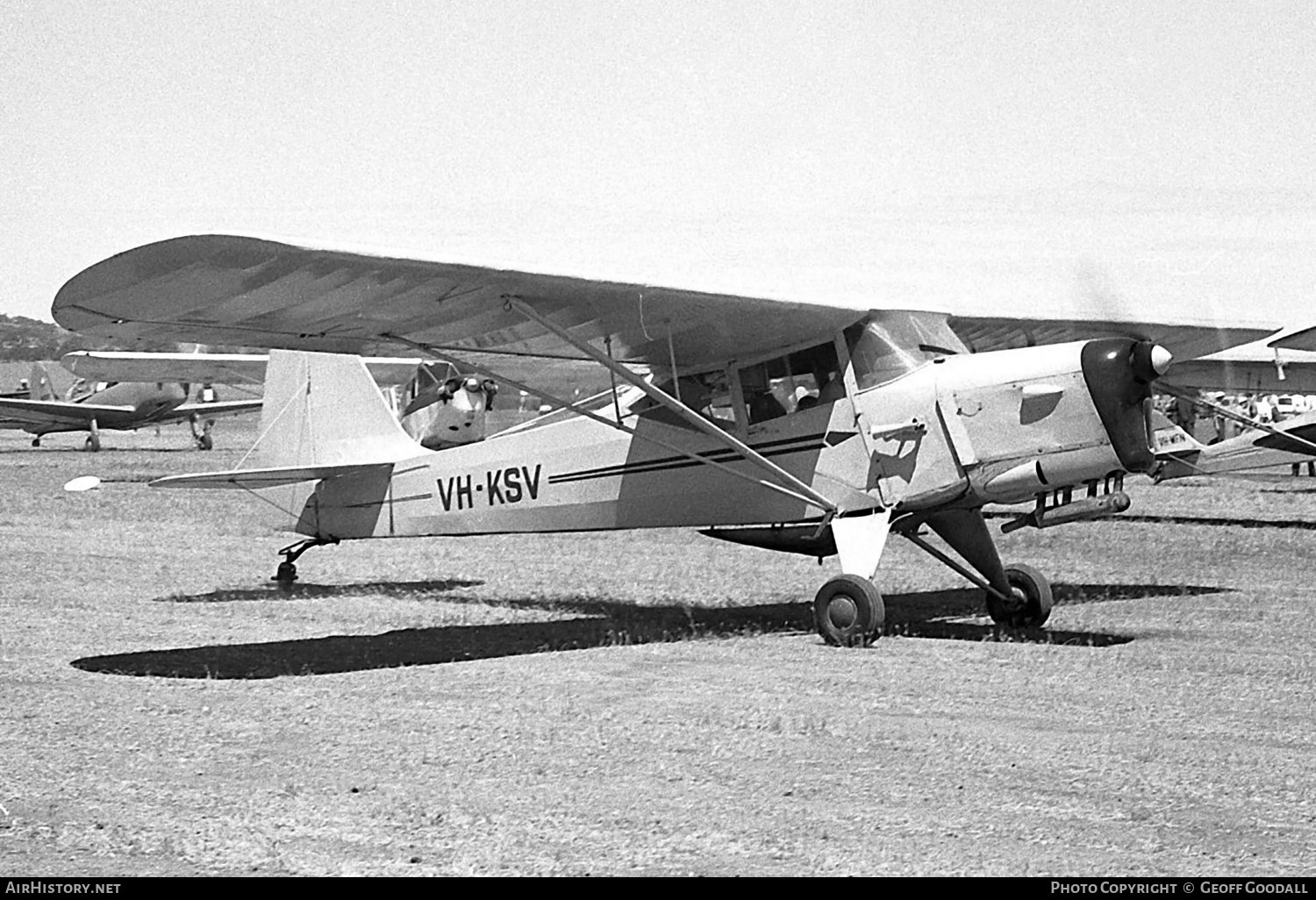 Aircraft Photo of VH-KSV | Auster J-5 Adventurer | AirHistory.net #103775
