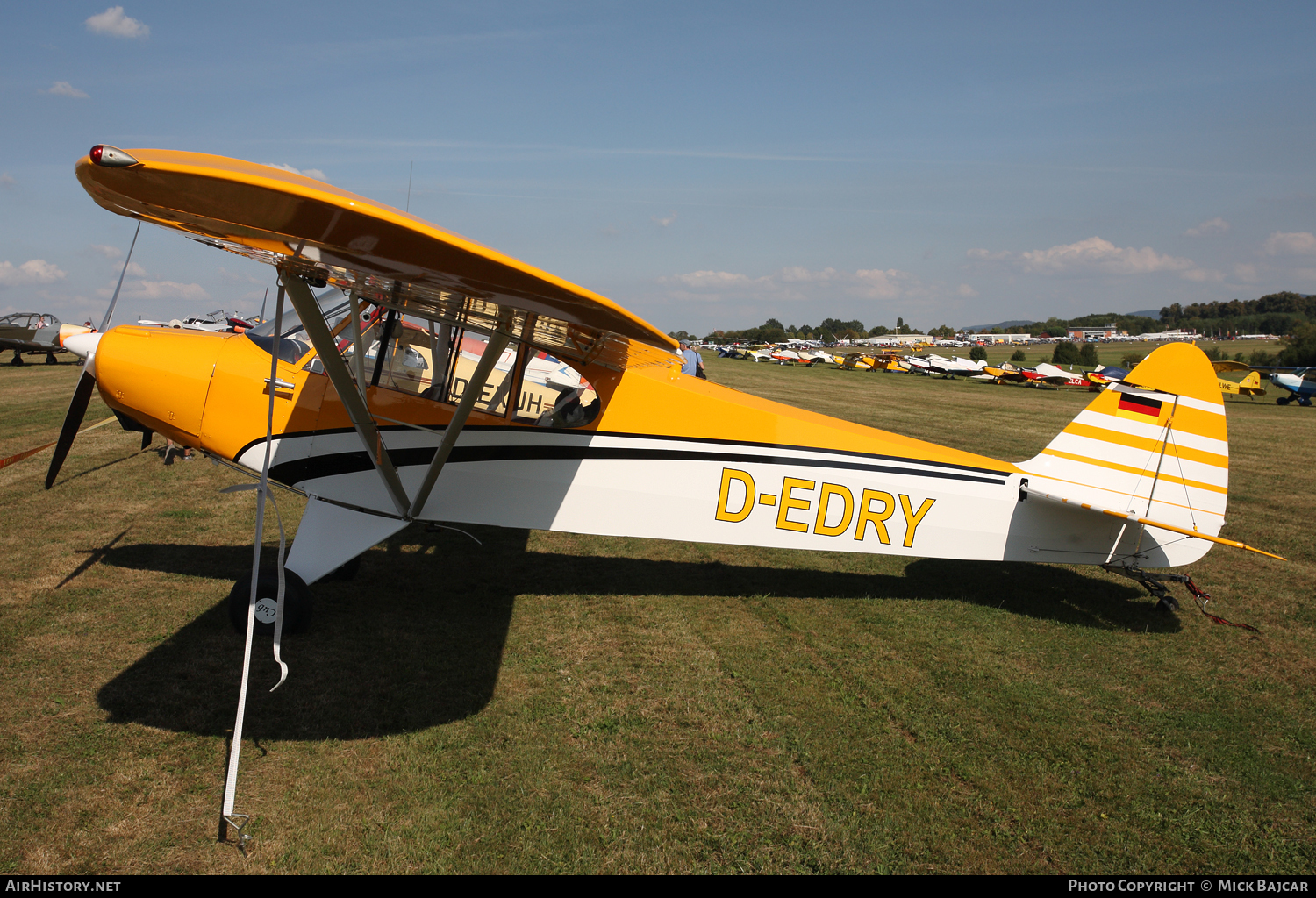 Aircraft Photo of D-EDRY | Piper PA-18-95 Super Cub | AirHistory.net #105260