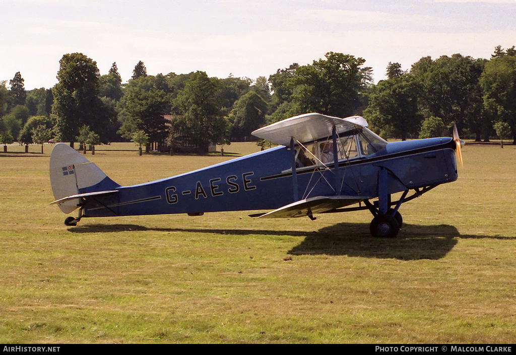 Aircraft Photo of G-AESE | De Havilland D.H. 87B Hornet Moth | AirHistory.net #106110