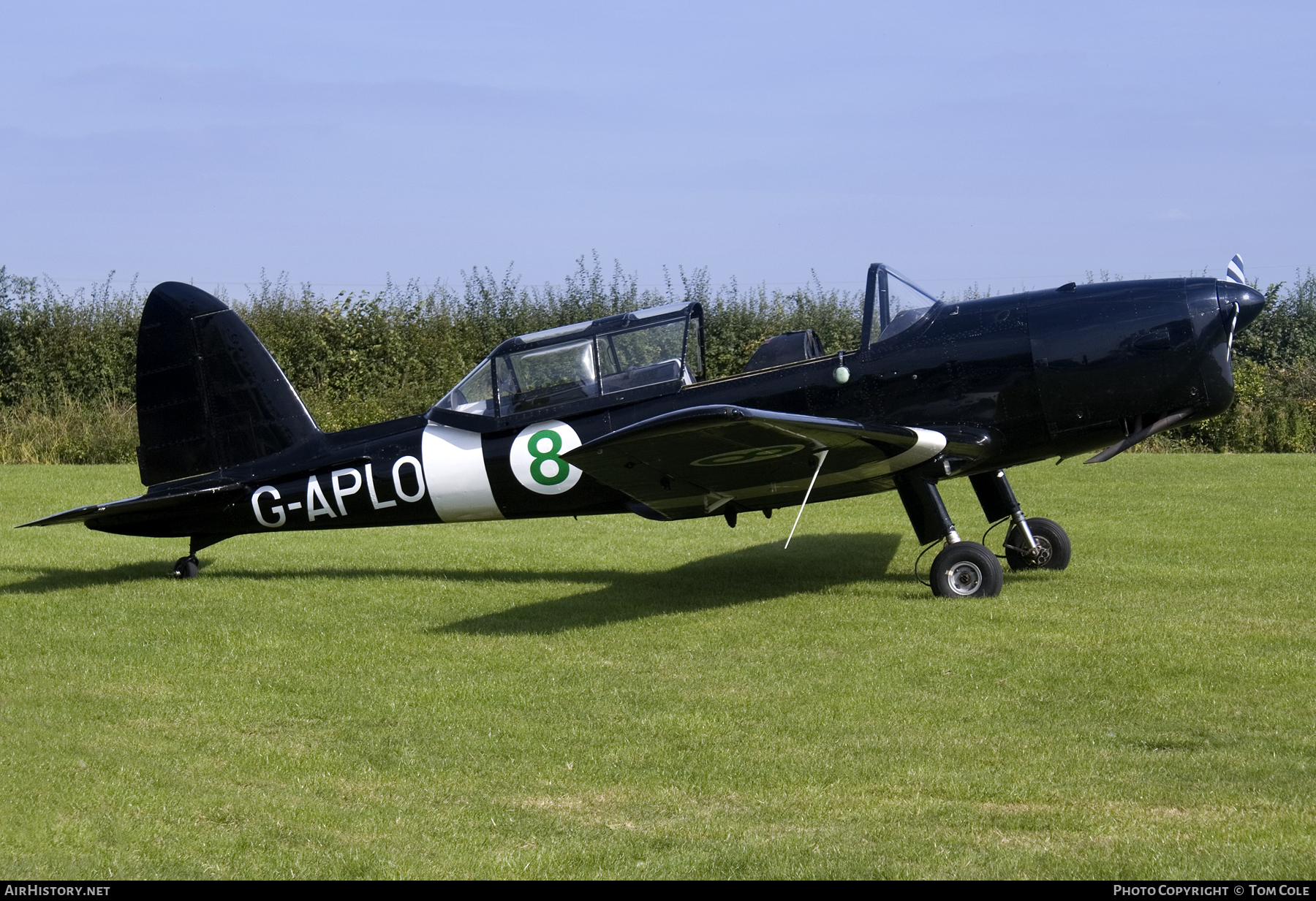 Aircraft Photo of G-APLO | De Havilland DHC-1 Chipmunk Mk22A | AirHistory.net #106366