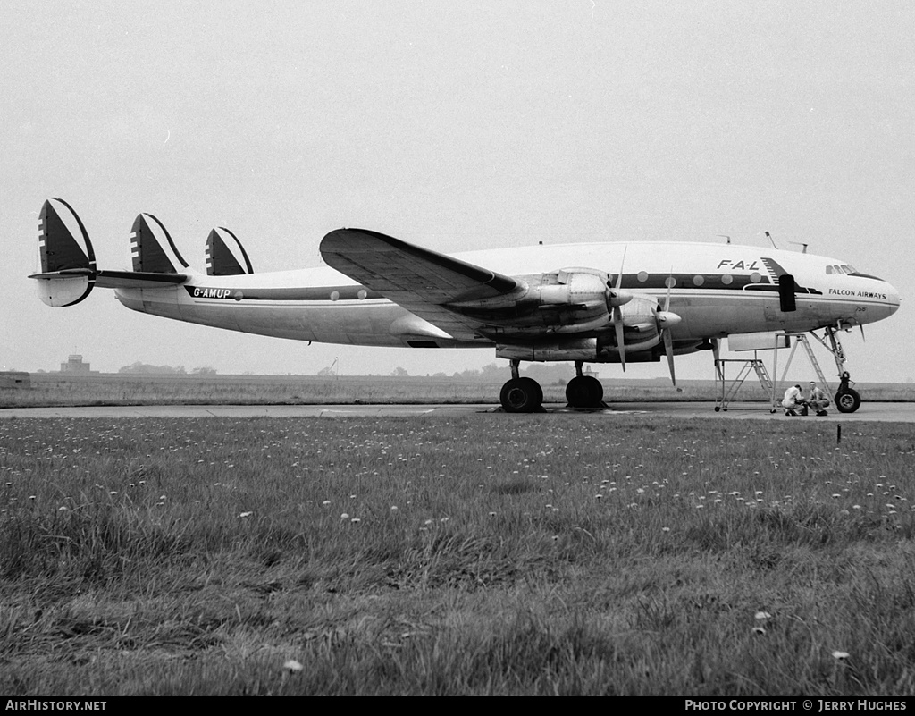 Aircraft Photo of G-AMUP | Lockheed L-049E Constellation | Falcon Airways - FAL | AirHistory.net #106572