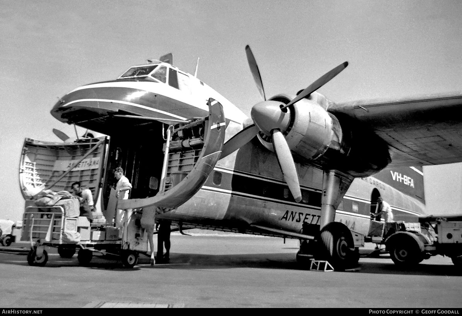 Aircraft Photo of VH-BFA | Bristol 170 Freighter Mk31M | Ansett - ANA Air Cargo | AirHistory.net #106783