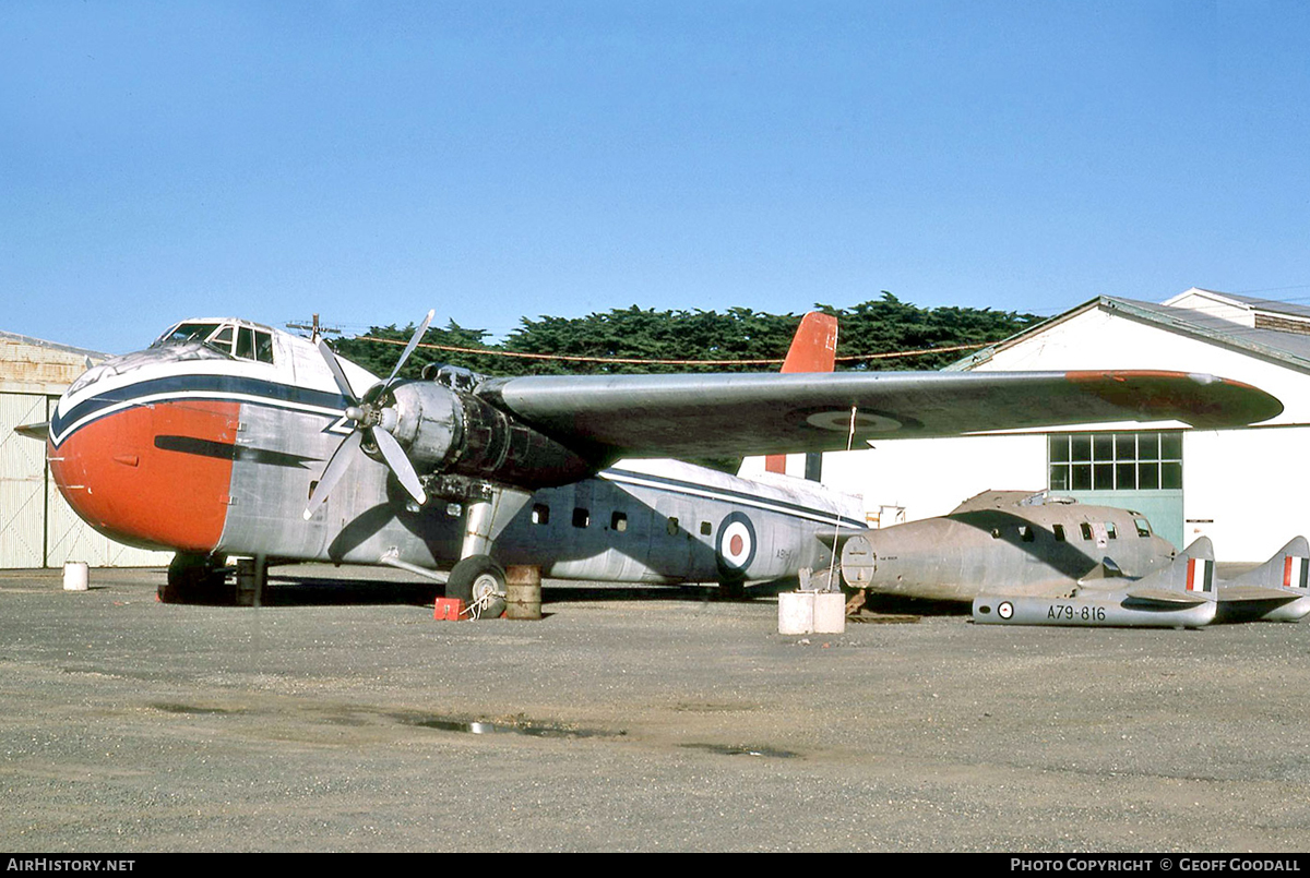 Aircraft Photo of A81-1 | Bristol 170 Freighter Mk21 | Australia - Air Force | AirHistory.net #107329