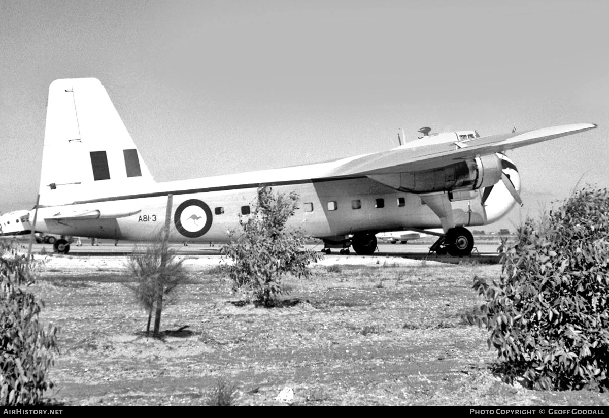 Aircraft Photo of A81-3 | Bristol 170 Freighter Mk21E | Australia - Air Force | AirHistory.net #107777