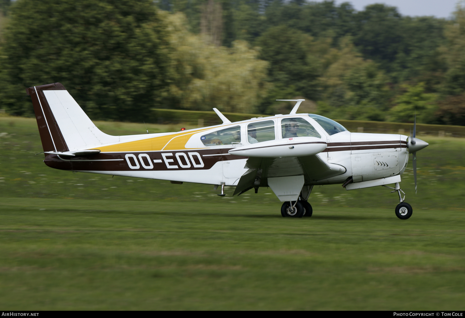 Aircraft Photo of OO-EOD | Beech F33A Bonanza | AirHistory.net #107815