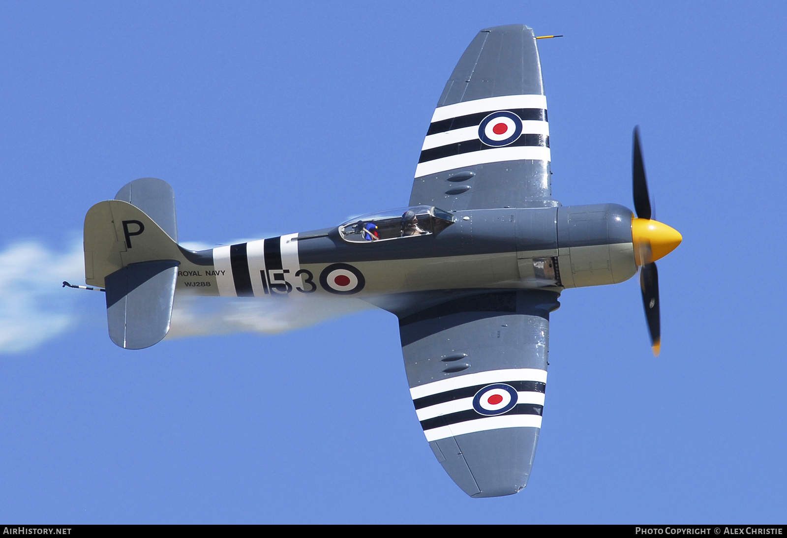 Aircraft Photo of N15S / NX15S / WJ288 | Hawker Sea Fury FB11 | Commemorative Air Force | UK - Navy | AirHistory.net #108281