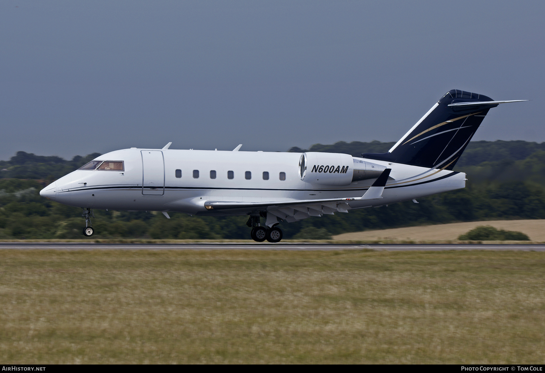 Aircraft Photo of N600AM | Bombardier Challenger 604 (CL-600-2B16) | AirHistory.net #109772
