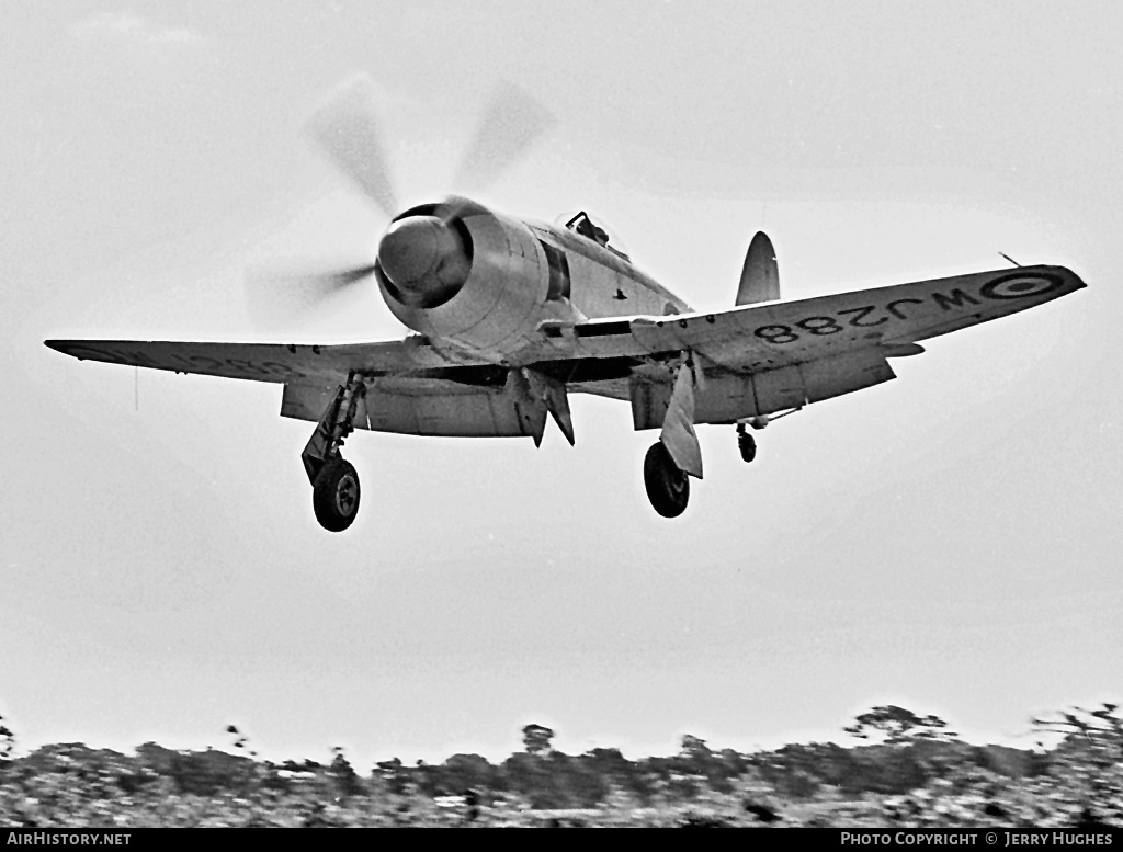 Aircraft Photo of WJ288 | Hawker Sea Fury FB11 | UK - Navy | AirHistory.net #110871