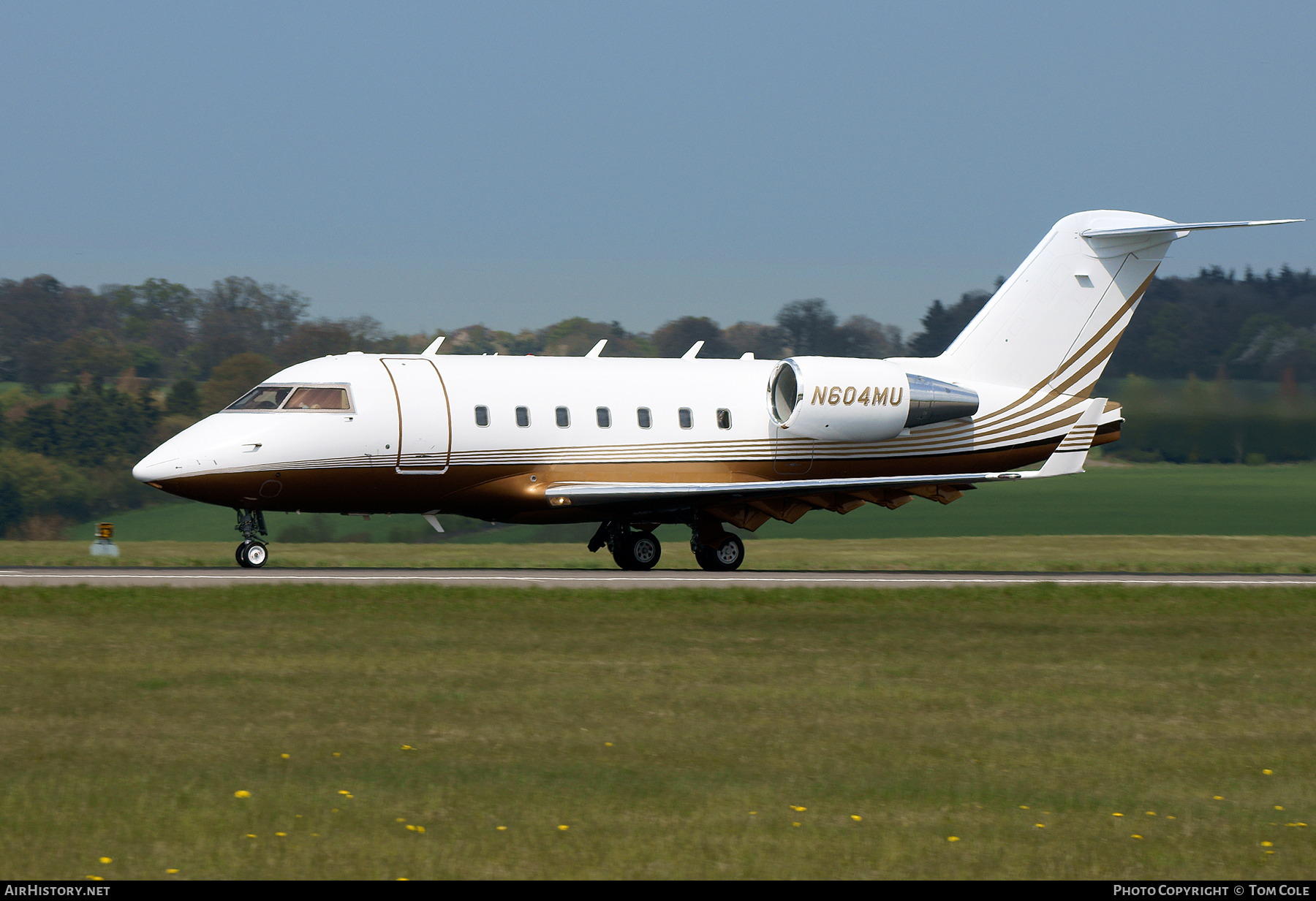 Aircraft Photo of N604MU | Bombardier Challenger 604 (CL-600-2B16) | AirHistory.net #111044
