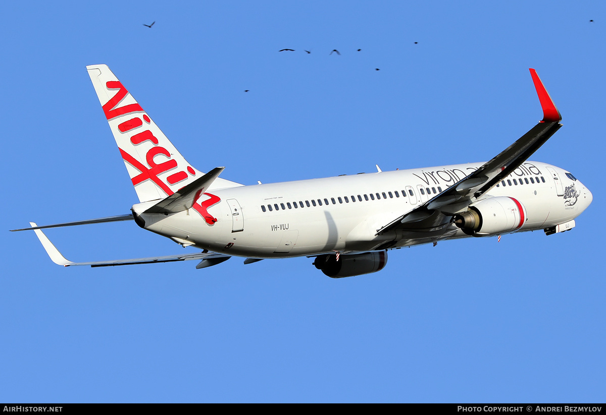 Aircraft Photo of VH-VUJ | Boeing 737-8FE | Virgin Australia Airlines | AirHistory.net #111891