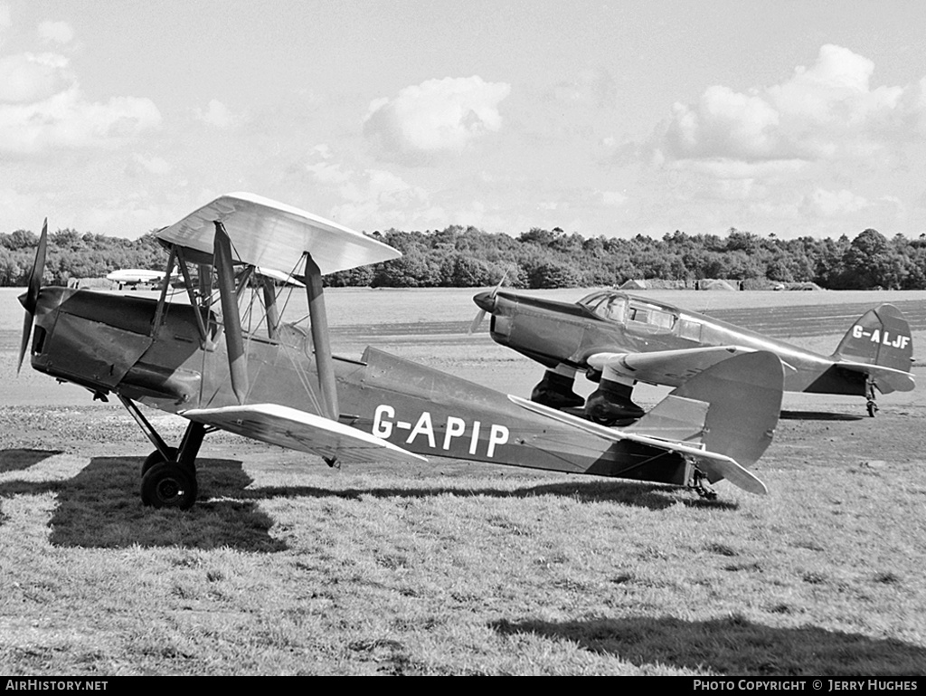 Aircraft Photo of G-APIP | De Havilland D.H. 82A Tiger Moth II | AirHistory.net #113603