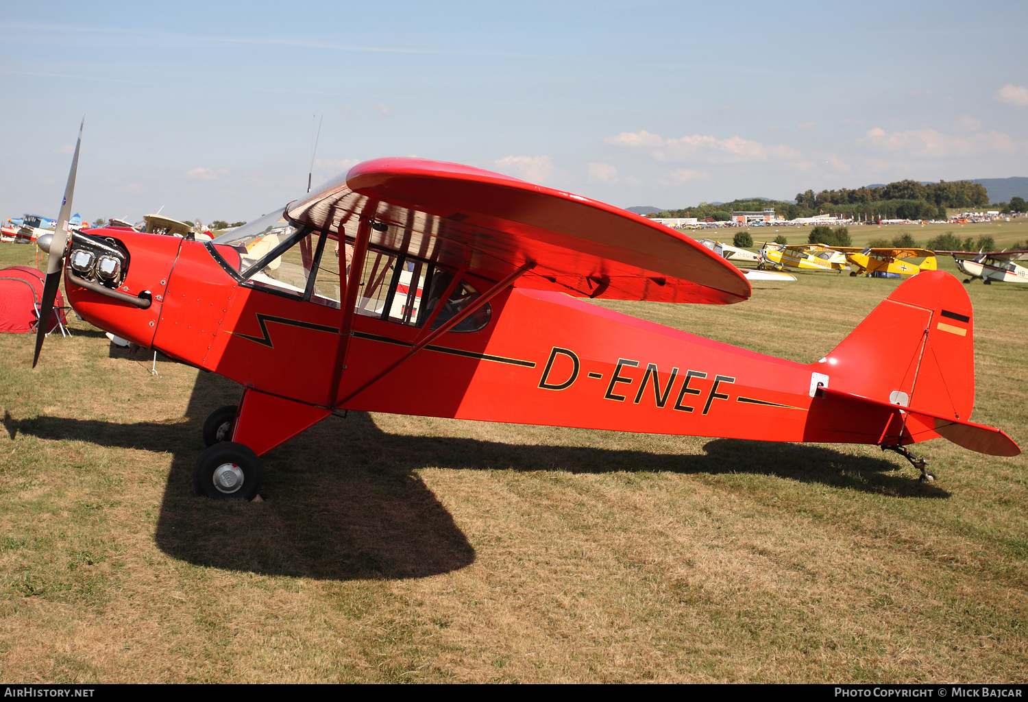 Aircraft Photo of D-ENEF | Piper J-3C-90 Cub | AirHistory.net #114960