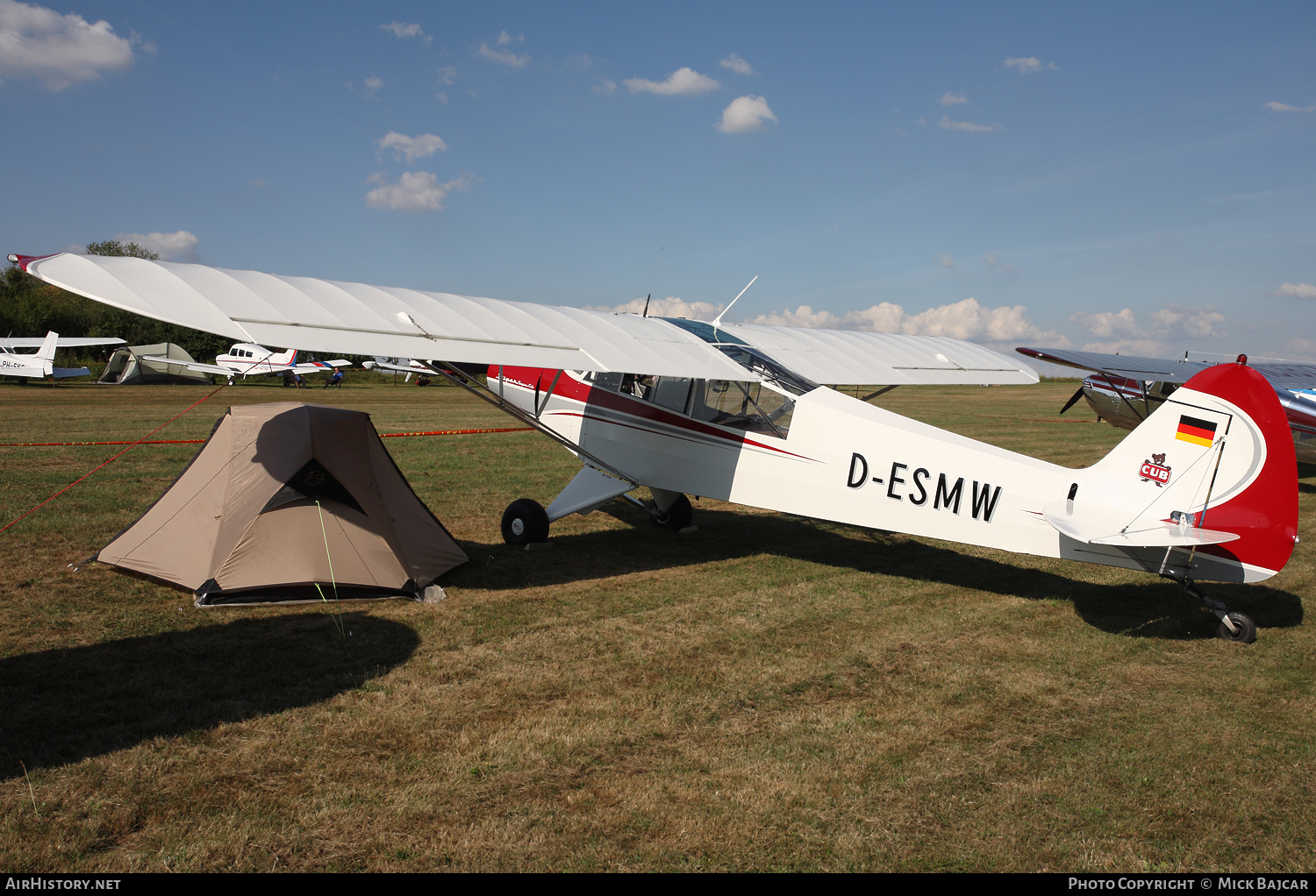 Aircraft Photo of D-ESMW | Piper PA-18-95 Super Cub | AirHistory.net #115109