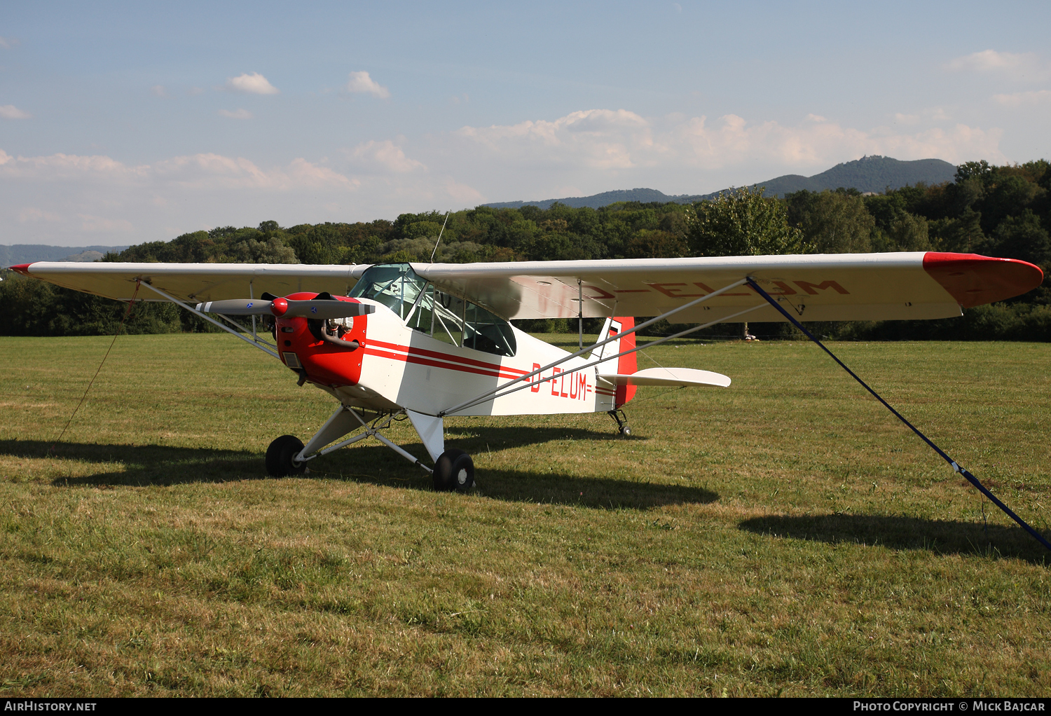 Aircraft Photo of D-ELUM | Piper J-3C-65 Cub | AirHistory.net #115159