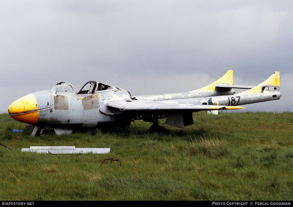 Aircraft Photo of 187 | De Havilland D.H. 115 Vampire T55 | Ireland - Air Force | AirHistory.net #115324