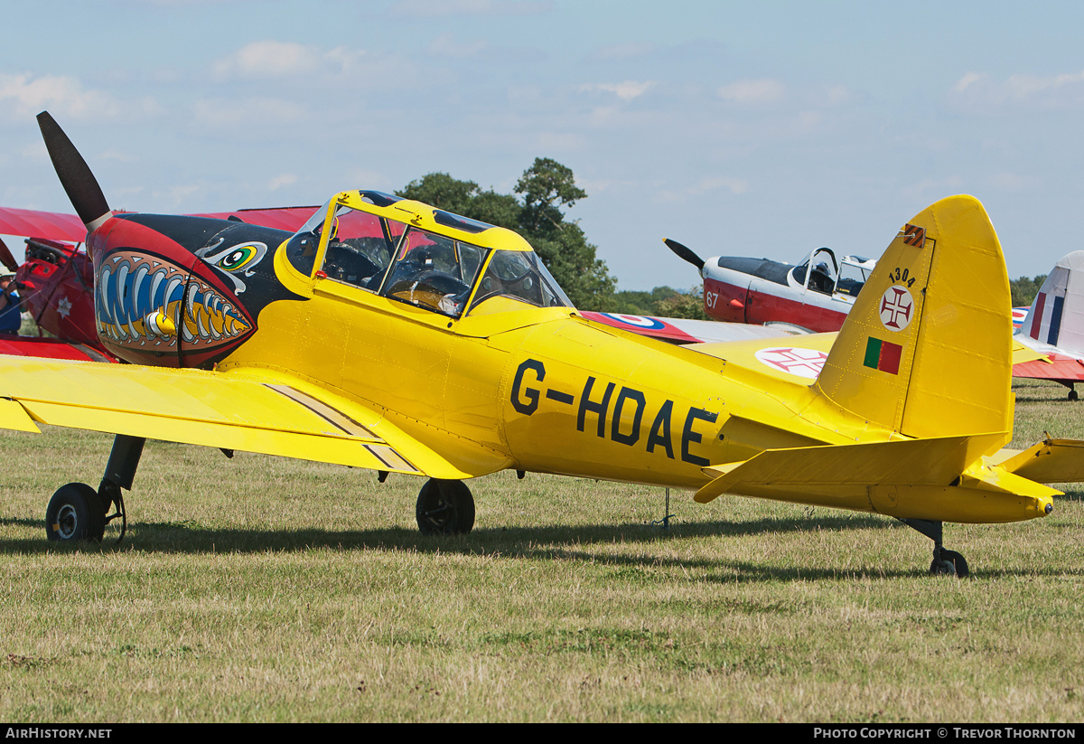 Aircraft Photo of G-HDAE / 1304 | De Havilland DHC-1 Chipmunk T20 | Portugal - Air Force | AirHistory.net #115439