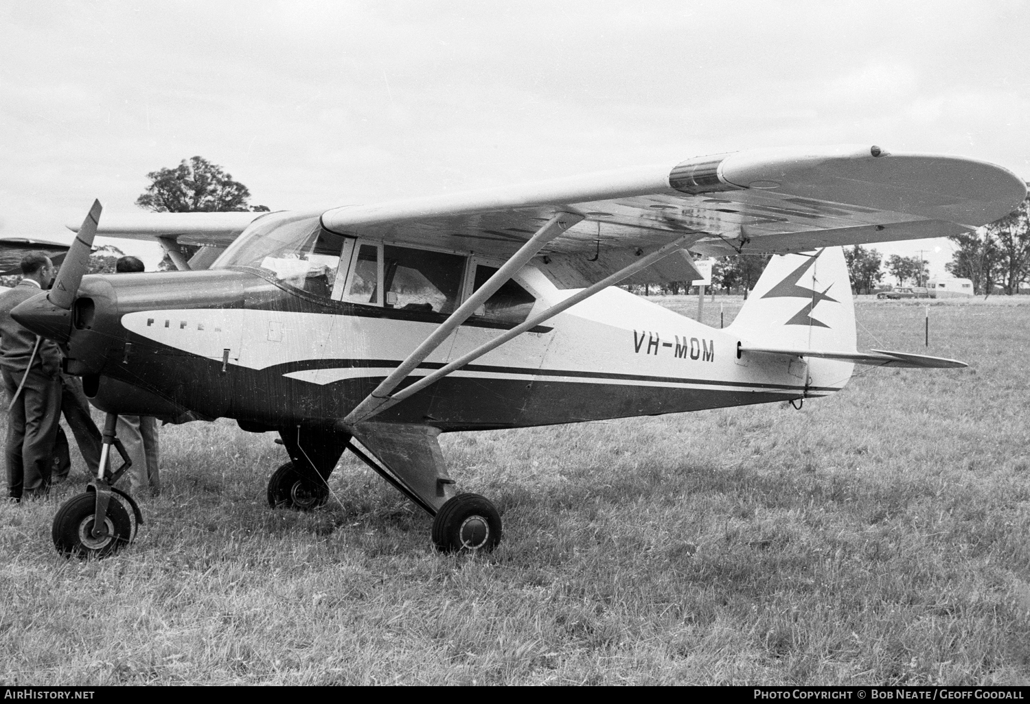 Aircraft Photo of VH-MOM | Piper PA-22/20-150 | AirHistory.net #119587
