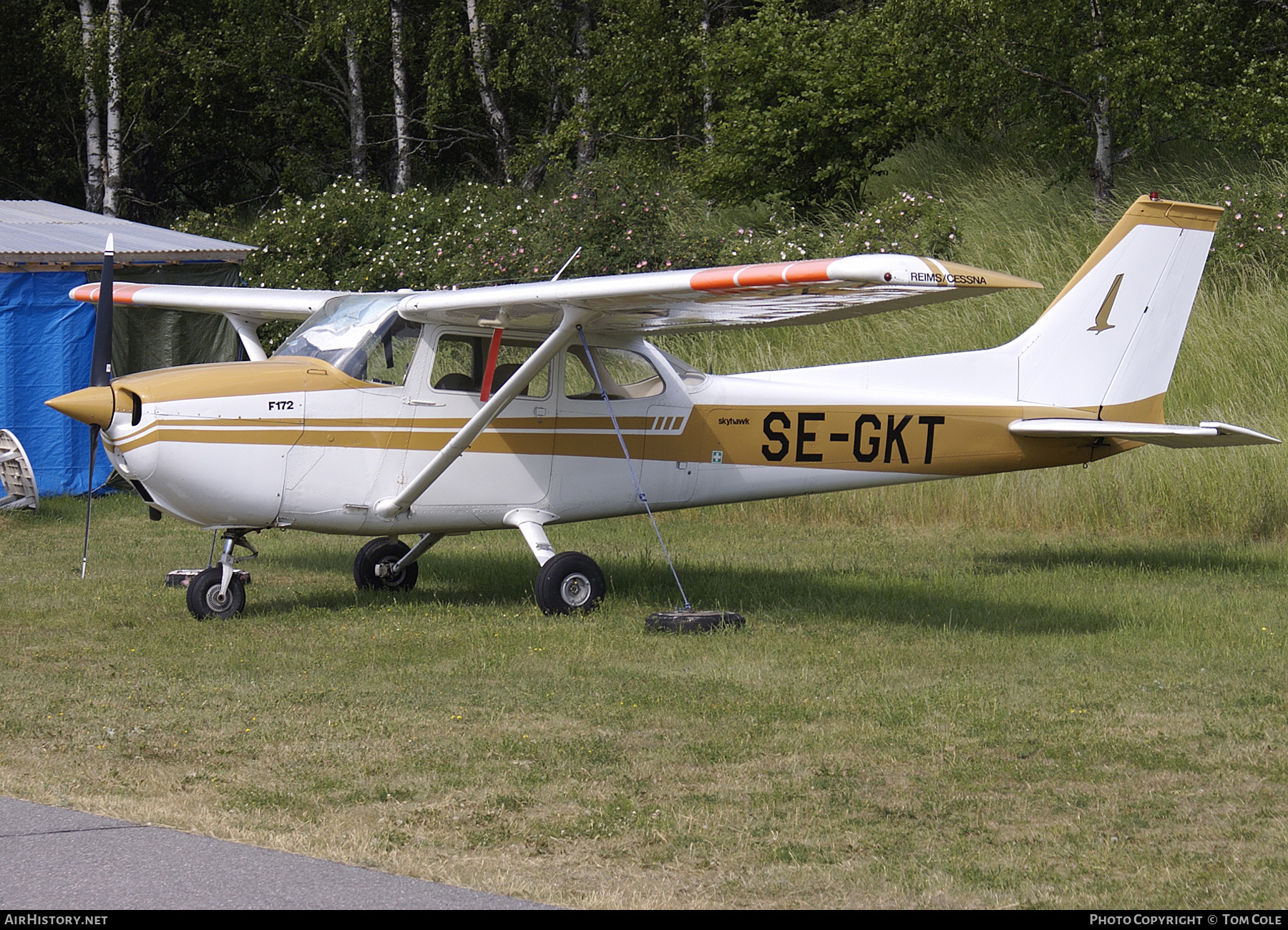 Aircraft Photo of SE-GKT | Reims F172M Skyhawk | AirHistory.net #123050