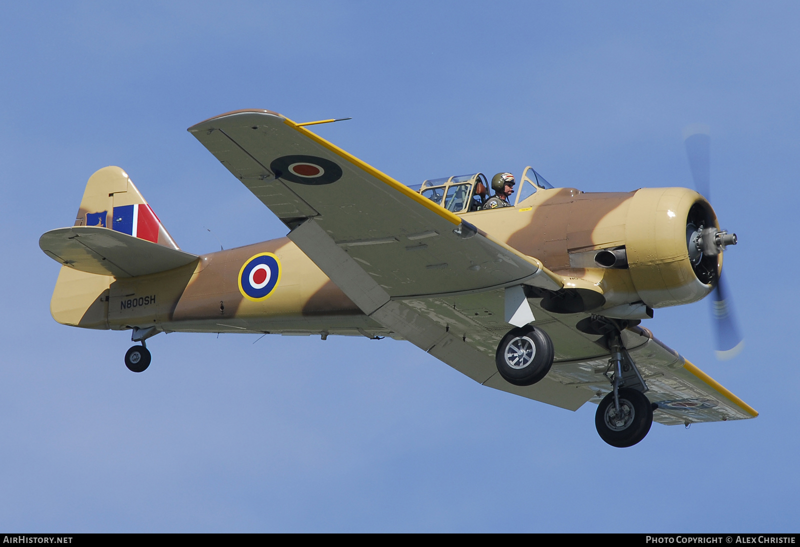 Aircraft Photo of N800SH | North American AT-6D Texan | South Africa - Air Force | AirHistory.net #123063