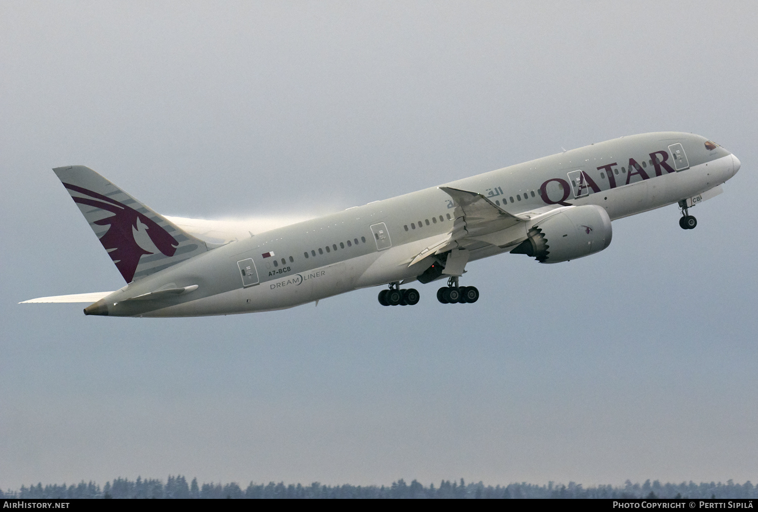 Aircraft Photo of A7-BCB | Boeing 787-8 Dreamliner | Qatar Airways | AirHistory.net #123374
