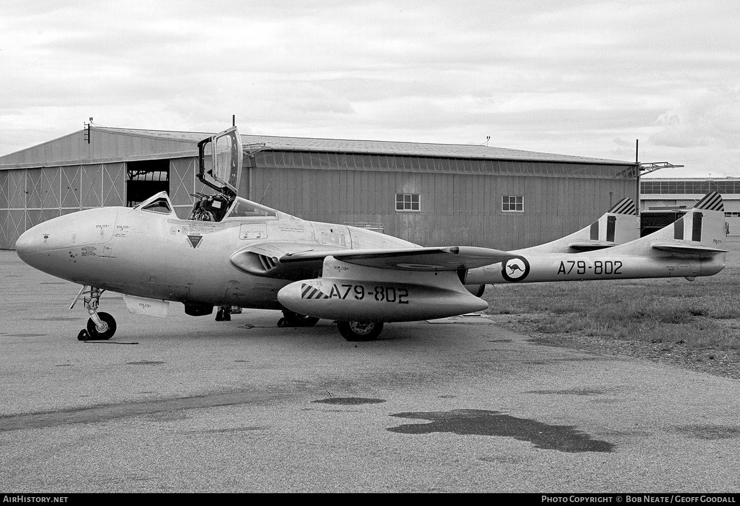 Aircraft Photo of A79-802 | De Havilland D.H. 115 Vampire T35A | Australia - Air Force | AirHistory.net #123640