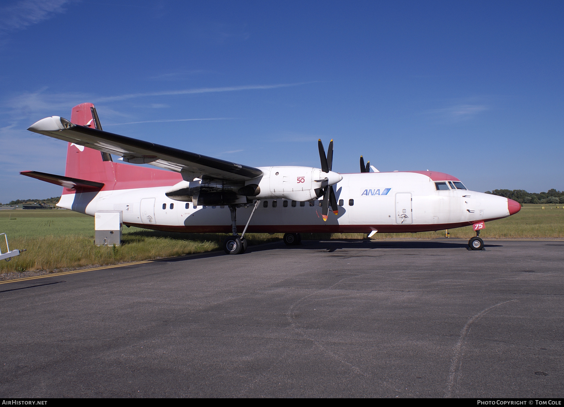 Aircraft Photo of JA8875 | Fokker 50 | All Nippon Airways - ANA | AirHistory.net #125307