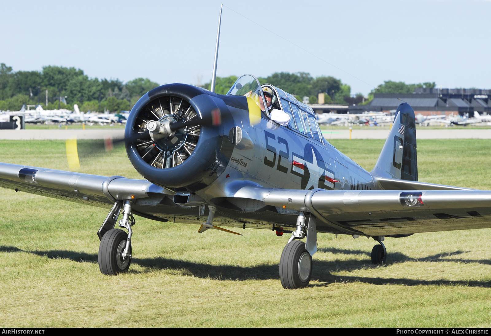 Aircraft Photo of N3645F / 43779 | North American SNJ-5 Texan | USA - Navy | AirHistory.net #126580