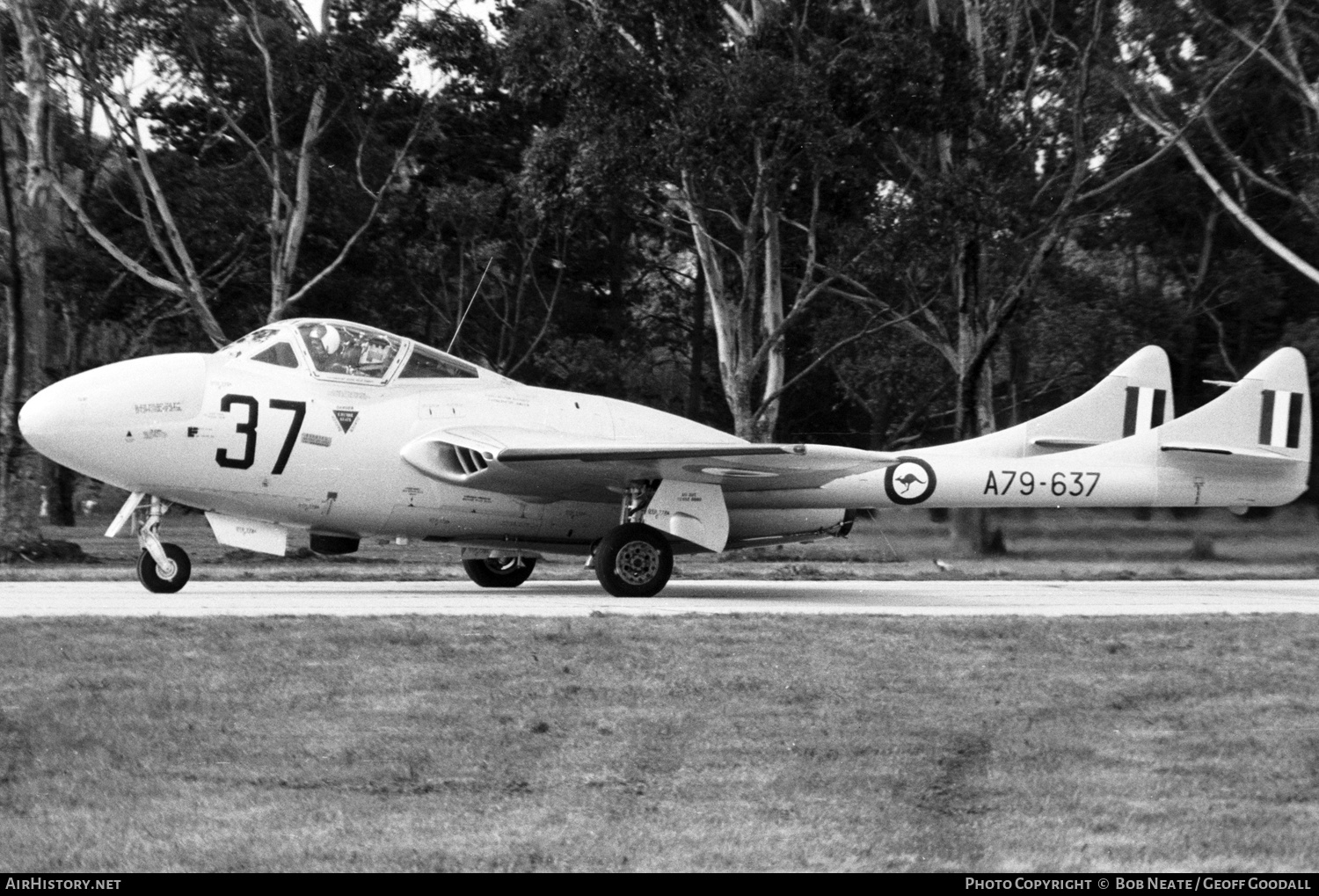 Aircraft Photo of A79-637 | De Havilland D.H. 115 Vampire T35 | Australia - Air Force | AirHistory.net #127092
