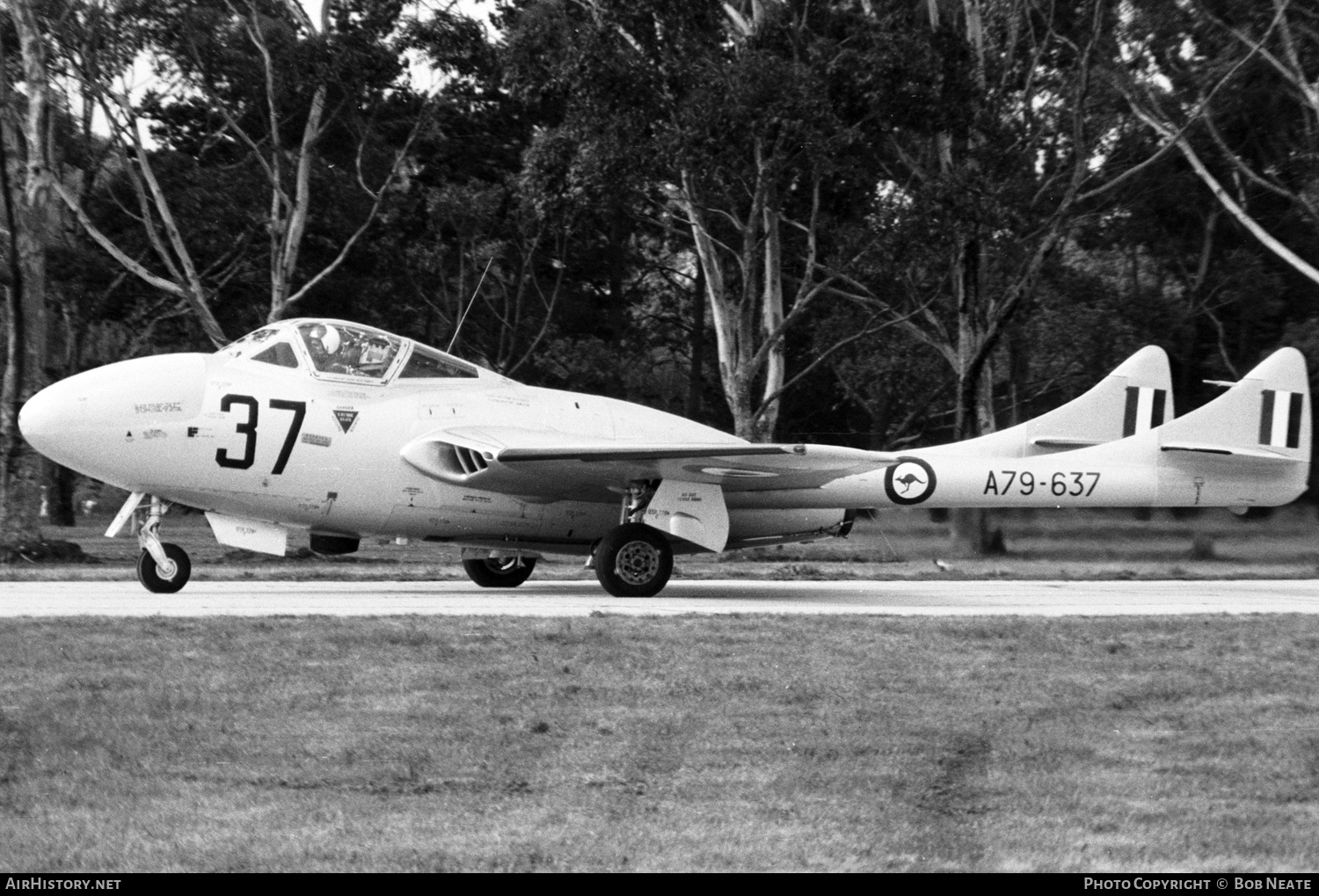 Aircraft Photo of A79-637 | De Havilland D.H. 115 Vampire T35 | Australia - Air Force | AirHistory.net #127092