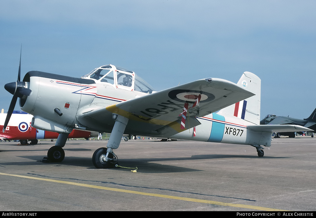 Aircraft Photo of G-AWVF / XF877 | Percival P.56 Provost T1 | UK - Air Force | AirHistory.net #129134